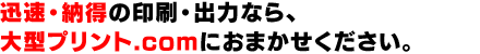 迅速・納得の印刷・出力なら、大型プリント.comにおまかせください。